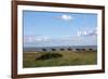 Group of riders in the Braderup Heath, Wenningstedt, Sylt, Schleswig Holstein, Germany-null-Framed Art Print