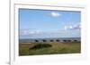 Group of riders in the Braderup Heath, Wenningstedt, Sylt, Schleswig Holstein, Germany-null-Framed Art Print