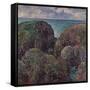 Group of Rocks at Port-Goulphar (Bloc de Rochers à Port-Goulphar). 1887-Claude Monet-Framed Stretched Canvas