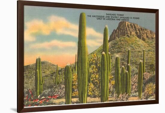 Group of Saguaro Cacti-null-Framed Art Print