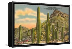 Group of Saguaro Cacti-null-Framed Stretched Canvas