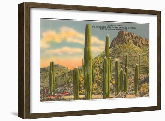 Group of Saguaro Cacti-null-Framed Art Print