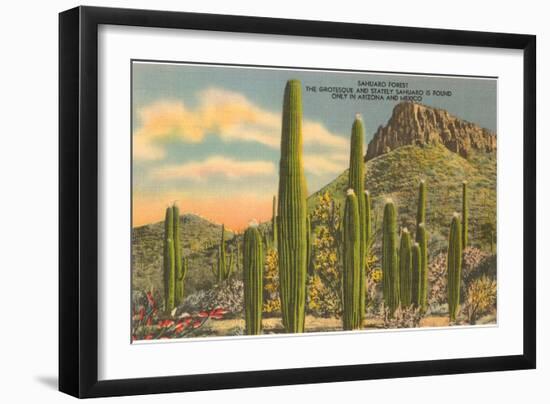 Group of Saguaro Cacti-null-Framed Art Print