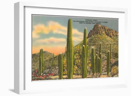 Group of Saguaro Cacti-null-Framed Art Print