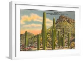 Group of Saguaro Cacti-null-Framed Art Print