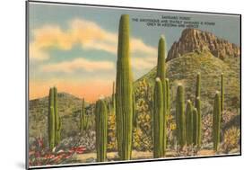 Group of Saguaro Cacti-null-Mounted Art Print