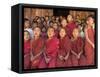 Group of School Children, Including Young Monks, Singing, Village of Thit La, Shan State, Myanmar-Eitan Simanor-Framed Stretched Canvas