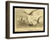 Group Of Small Flying Dragons, Or Pterodactyls-Joseph Smit-Framed Art Print