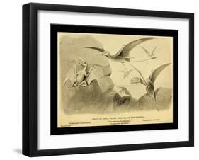 Group Of Small Flying Dragons, Or Pterodactyls-Joseph Smit-Framed Art Print