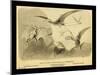 Group Of Small Flying Dragons, Or Pterodactyls-Joseph Smit-Mounted Art Print