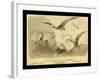 Group Of Small Flying Dragons, Or Pterodactyls-Joseph Smit-Framed Art Print