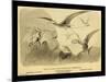 Group Of Small Flying Dragons, Or Pterodactyls-Joseph Smit-Mounted Art Print