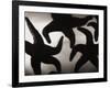 Group of Starfish-Henry Horenstein-Framed Photographic Print