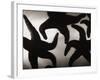 Group of Starfish-Henry Horenstein-Framed Photographic Print