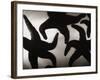 Group of Starfish-Henry Horenstein-Framed Photographic Print