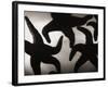 Group of Starfish-Henry Horenstein-Framed Photographic Print