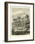 Group of Tarapote Palms, Iriartea Ventricosa-Édouard Riou-Framed Giclee Print