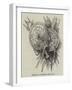 Group of Targets, Arms, Etc-null-Framed Giclee Print