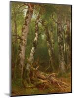 Group of Trees, 1855-77-Asher Brown Durand-Mounted Giclee Print