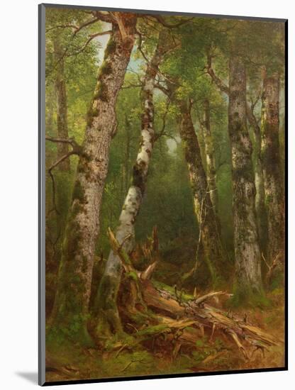 Group of Trees, 1855-77-Asher Brown Durand-Mounted Giclee Print