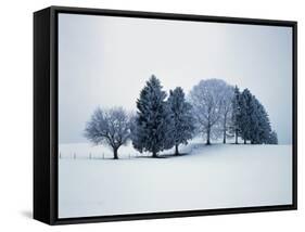 Group of trees in winter-Herbert Kehrer-Framed Stretched Canvas