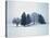 Group of trees in winter-Herbert Kehrer-Stretched Canvas