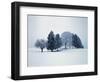 Group of trees in winter-Herbert Kehrer-Framed Photographic Print