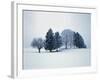 Group of trees in winter-Herbert Kehrer-Framed Photographic Print