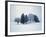 Group of trees in winter-Herbert Kehrer-Framed Photographic Print