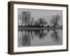 Group of Trees Is Reflected in the Water-Jurgen Ulmer-Framed Photographic Print