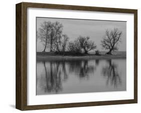 Group of Trees Is Reflected in the Water-Jurgen Ulmer-Framed Photographic Print