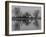 Group of Trees Is Reflected in the Water-Jurgen Ulmer-Framed Photographic Print