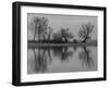 Group of Trees Is Reflected in the Water-Jurgen Ulmer-Framed Photographic Print