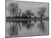 Group of Trees Is Reflected in the Water-Jurgen Ulmer-Mounted Photographic Print