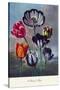 Group of Tulips-null-Stretched Canvas