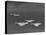 Group of Us Navy Bombers Flying in Formation-Carl Mydans-Stretched Canvas