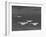 Group of Us Navy Bombers Flying in Formation-Carl Mydans-Framed Photographic Print