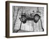 Group of Us Soldiers Pulling a Jeep over a Ravine Using Ropes while on Maneuvers-William C^ Shrout-Framed Premium Photographic Print