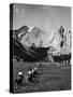 Group of Vacationers Riding Horseback Along a Trail in the Canadian Rockies-null-Stretched Canvas