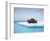 Group of Walrus on ice-Paul Souders-Framed Photographic Print
