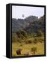 Group of White Rhinos and Balloon, Pilanesberg National Park, Sun City, South Africa, Africa-Peter Groenendijk-Framed Stretched Canvas