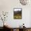 Group of White Rhinos and Balloon, Pilanesberg National Park, Sun City, South Africa, Africa-Peter Groenendijk-Framed Stretched Canvas displayed on a wall