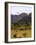 Group of White Rhinos and Balloon, Pilanesberg National Park, Sun City, South Africa, Africa-Peter Groenendijk-Framed Photographic Print