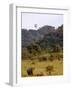 Group of White Rhinos and Balloon, Pilanesberg National Park, Sun City, South Africa, Africa-Peter Groenendijk-Framed Photographic Print