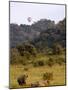 Group of White Rhinos and Balloon, Pilanesberg National Park, Sun City, South Africa, Africa-Peter Groenendijk-Mounted Photographic Print