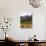 Group of White Rhinos and Balloon, Pilanesberg National Park, Sun City, South Africa, Africa-Peter Groenendijk-Photographic Print displayed on a wall