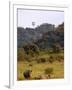 Group of White Rhinos and Balloon, Pilanesberg National Park, Sun City, South Africa, Africa-Peter Groenendijk-Framed Photographic Print