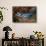 Group of Whitetip reef sharks resting, Revillagigedo Islands-Alex Mustard-Framed Stretched Canvas displayed on a wall