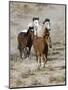 Group of Wild Horses, Cantering Across Sagebrush-Steppe, Adobe Town, Wyoming, USA-Carol Walker-Mounted Premium Photographic Print