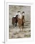 Group of Wild Horses, Cantering Across Sagebrush-Steppe, Adobe Town, Wyoming, USA-Carol Walker-Framed Photographic Print